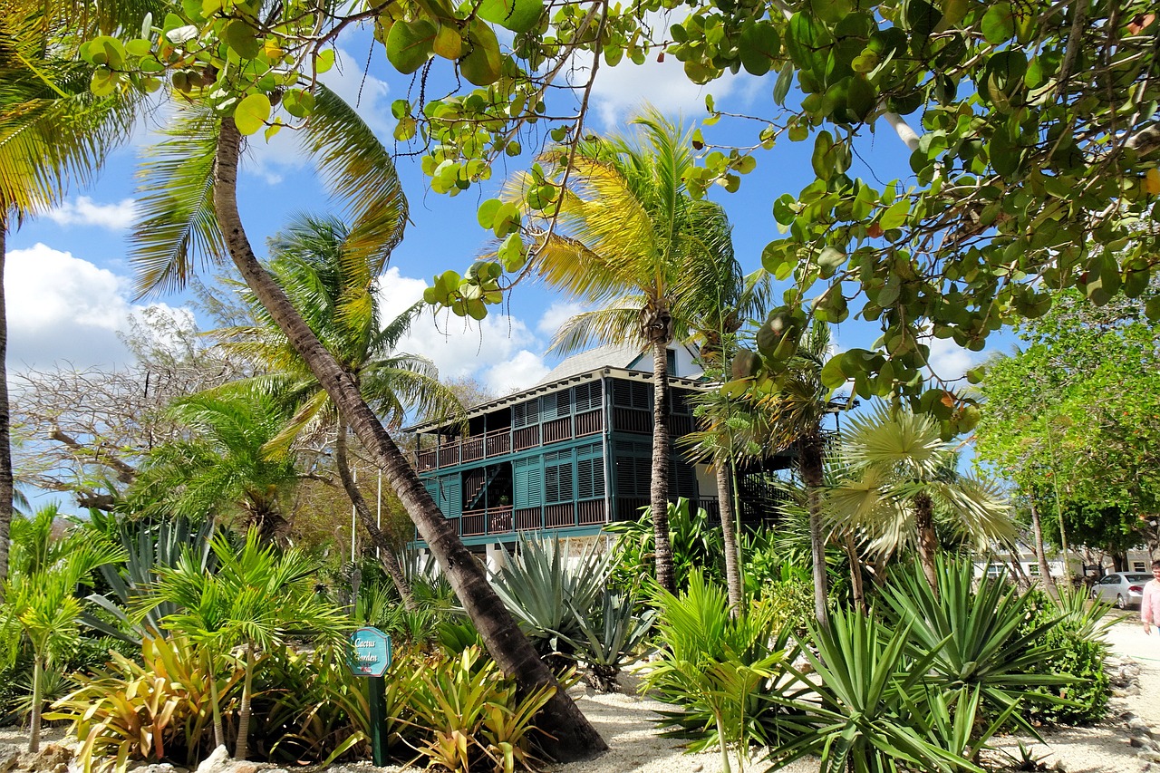 Cayman Shoreline Living: Safety, Lifestyle, and the Rising Cost of “Waterfront”