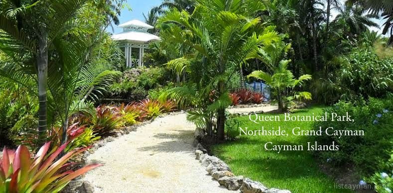Rum Point Road 0.28 Acre Land photo 6