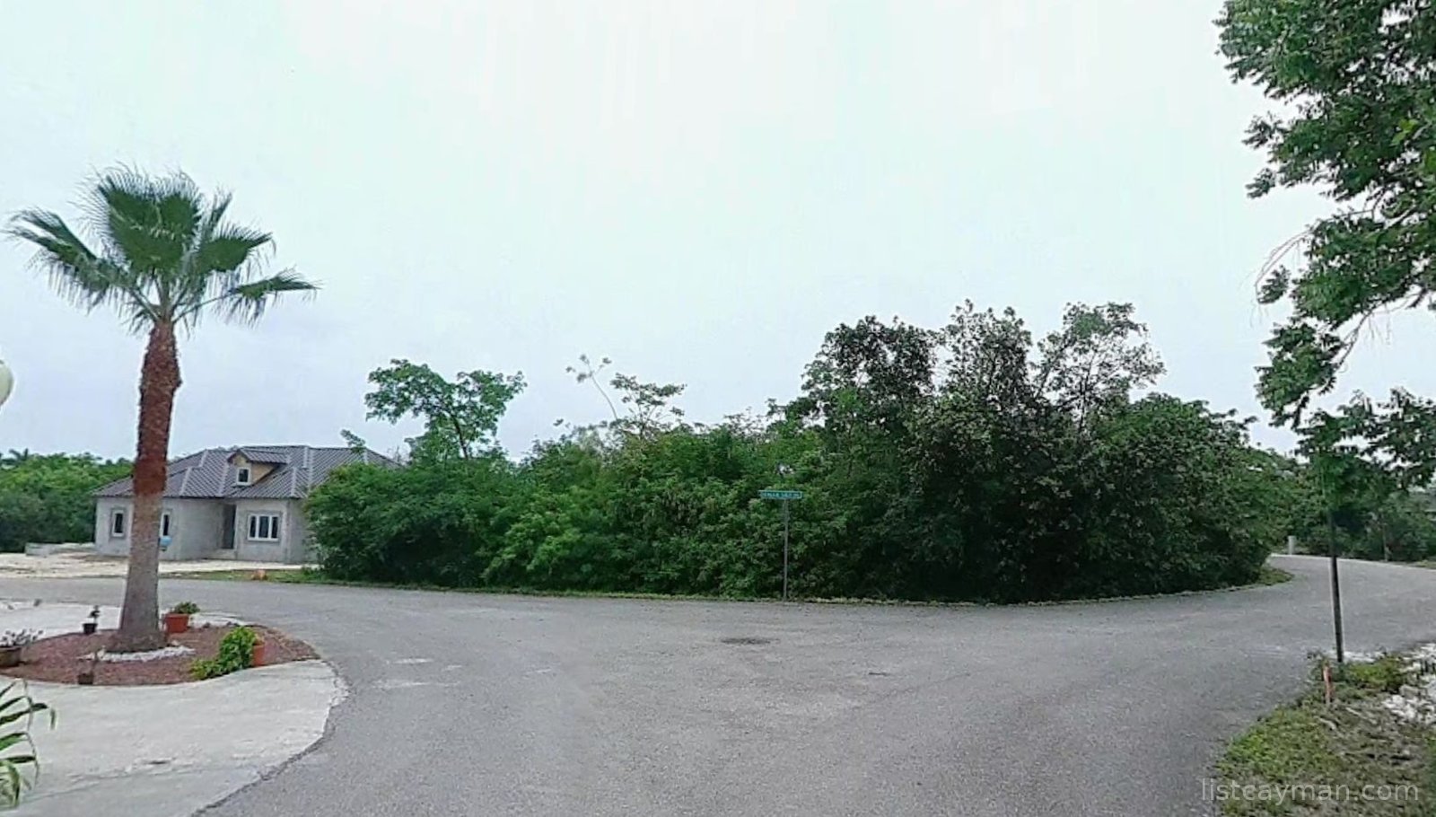 Premium Residential Lot – Calla Lily Drive photo 2