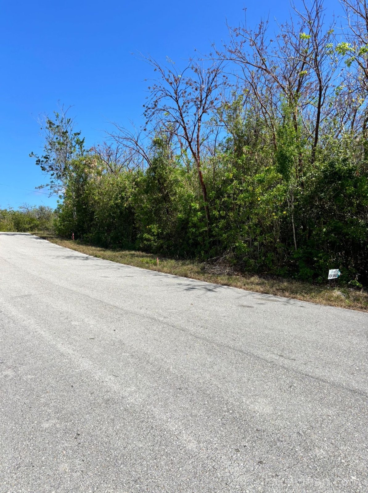 Splendid View – 0.28 Acres Land Development – Lot C photo 2