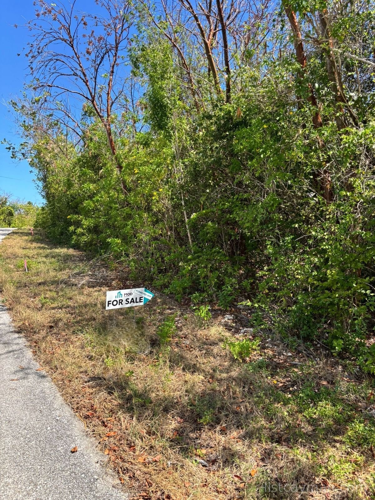Splendid View – 0.28 Acres Land Development – Lot C photo 3