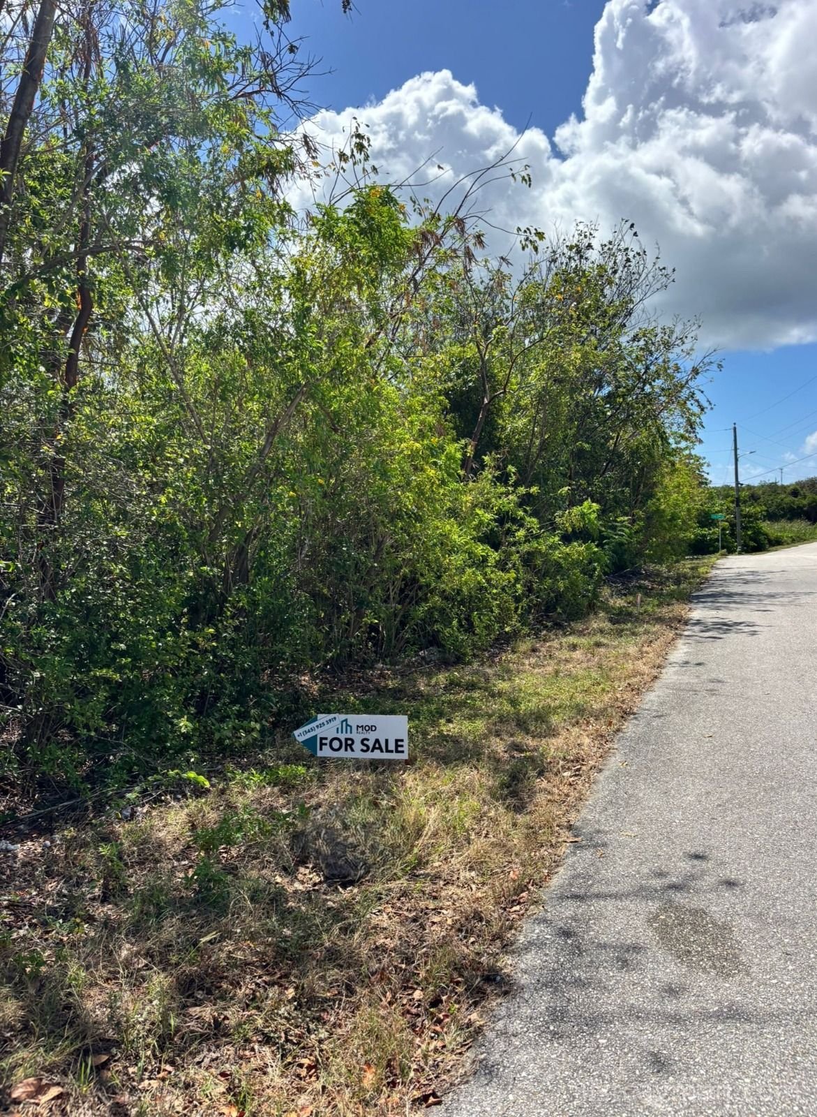 Splendid View – 0.28 Acres Land Development – Lot C photo 4