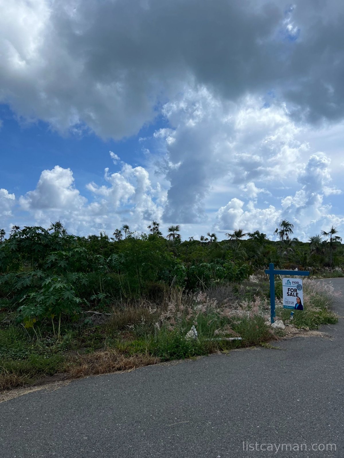 Copper Drive Lot #33 0.24 acres photo 5