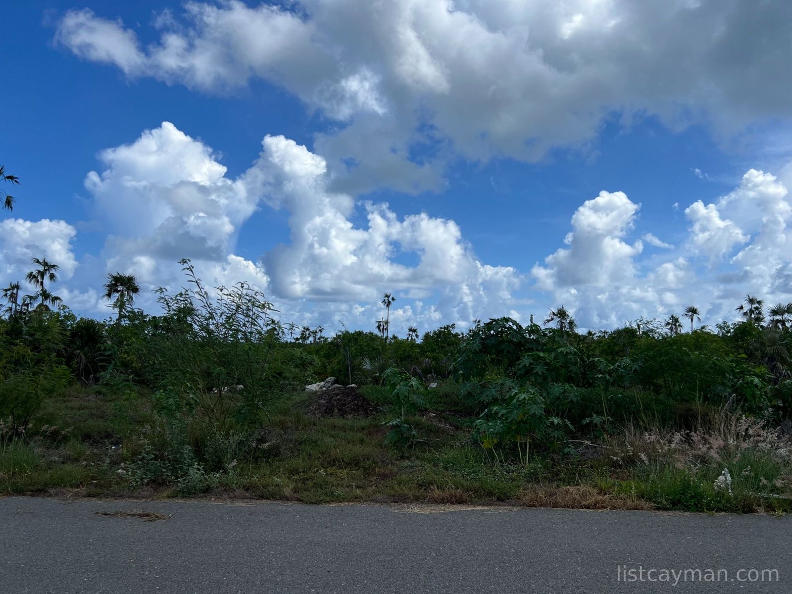 Copper Drive Lot #33 0.24 acres photo 4