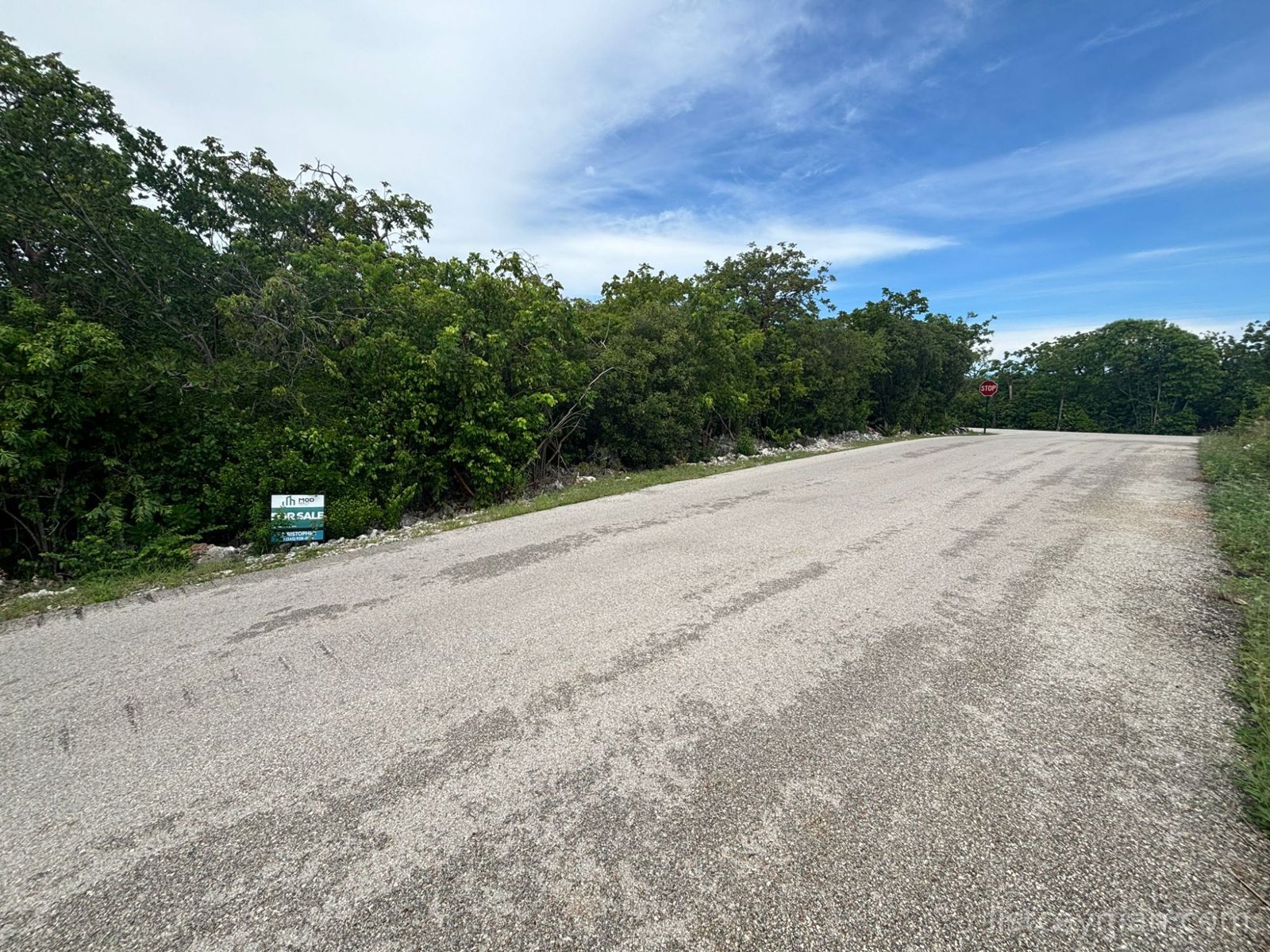 Tea Rose 0.36 acres Land photo 3